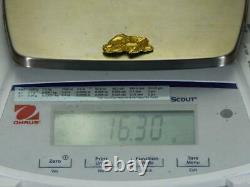 #411 Alaskan BC Natural Gold Nugget 16.30 Grams Genuine