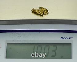 #412 Alaskan BC Natural Gold Nugget 10.03 Grams Genuine