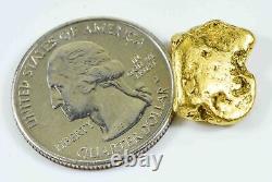 #413 Alaskan BC Natural Gold Nugget 8.56 Grams Genuine