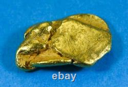 #413B Alaskan BC Natural Gold Nugget 11.01 Grams Genuine