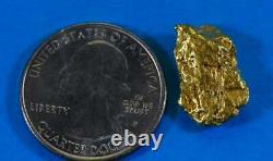 #415A Alaskan BC Natural Gold Nugget 5.82 Grams Genuine