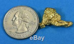 #418 Alaskan BC Natural Gold Nugget 7.00 Grams Genuine