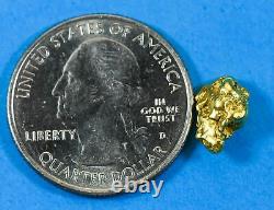 #42 Alaskan BC Natural Gold Nugget 1.66 Grams Genuine