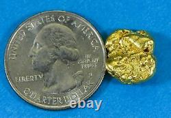 #422 Alaskan BC Natural Gold Nugget 5.36 Grams Genuine