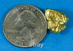 #427 Alaskan BC Natural Gold Nugget 9.14 Grams Genuine