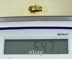 #428 Alaskan BC Natural Gold Nugget 6.47 Grams Genuine