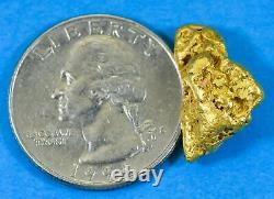 #429 Alaskan BC Natural Gold Nugget 6.01 Grams Genuine-X