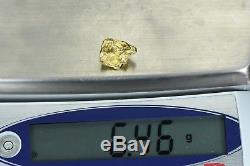 #432 Alaskan BC Natural Gold Nugget 6.46 Grams Genuine