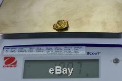 #434-B Alaskan BC Natural Gold Nugget 10.07 Grams Genuine