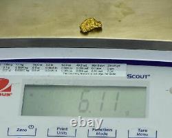 #436 Alaskan BC Natural Gold Nugget 6.11 Grams Genuine-X