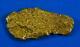#436 Alaskan Bc Natural Gold Nugget 8.69 Grams Genuine