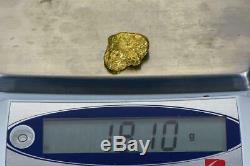 #437 Alaskan BC Natural Gold Nugget 18.10 Grams Genuine