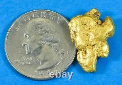 #438 Alaskan BC Natural Gold Nugget 9.47 Grams Genuine-X