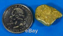 #438-C Alaskan BC Natural Gold Nugget 14.59 Grams Genuine
