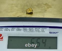 #439 Alaskan BC Natural Gold Nugget 6.54 Grams Genuine-Y
