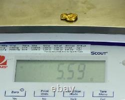 #440 Alaskan BC Natural Gold Nugget 5.59 Grams Genuine-Y