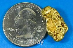 #442 Alaskan BC Natural Gold Nugget 5.70 Grams Genuine-Y