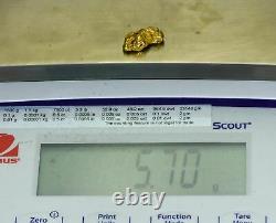 #442 Alaskan BC Natural Gold Nugget 5.70 Grams Genuine-Y