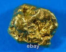 #449 Alaskan BC Natural Gold Nugget 7.62 Grams Genuine
