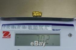 #453 Alaskan BC Natural Gold Nugget 7.02 Grams Genuine