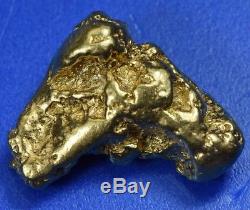 #455 Alaskan BC Natural Gold Nugget 13.10 Grams Genuine