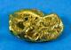 #455b Alaskan Bc Natural Gold Nugget 14.73 Grams Genuine