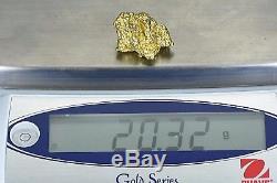 #457 Large Alaskan BC Natural Gold Nugget 20.32 Grams Genuine