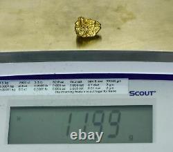 #458 Alaskan BC Natural Gold Nugget 11.99 Grams Genuine