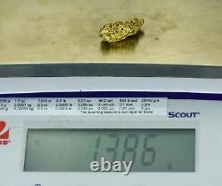 #461 Alaskan BC Natural Gold Nugget 13.86 Grams Genuine