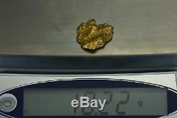 #462 Alaskan BC Natural Gold Nugget 10.22 Grams Genuine