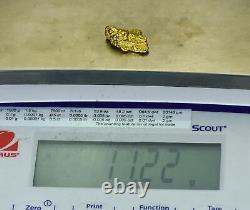 #462 Alaskan BC Natural Gold Nugget 11.22 Grams Genuine