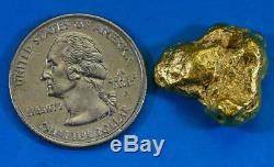 #462 Alaskan BC Natural Gold Nugget 14.56 Grams Genuine