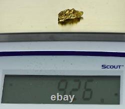 #462 Alaskan BC Natural Gold Nugget 9.26 Grams Genuine