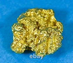 #463 Alaskan BC Natural Gold Nugget 10.21 Grams Genuine