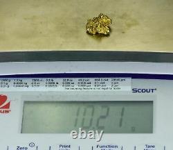 #463 Alaskan BC Natural Gold Nugget 10.21 Grams Genuine