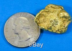 #464 Alaskan BC Natural Gold Nugget 17.26 Grams Genuine