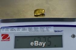 #465-C Alaskan BC Natural Gold Nugget 17.75 Grams Genuine