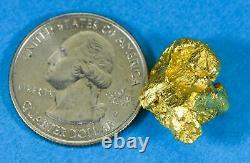 #466 Alaskan BC Natural Gold Nugget 12.01 Grams Genuine