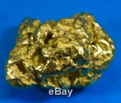 #472 Alaskan BC Natural Gold Nugget 16.98 Grams Genuine