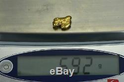 #476 Alaskan BC Natural Gold Nugget 6.92 Grams Genuine
