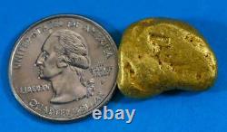 #478-C Alaskan BC Natural Gold Nugget 17.68 Grams Genuine