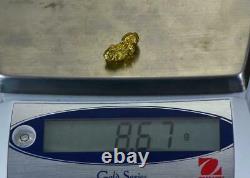 #479 Alaskan BC Natural Gold Nugget 8.67 Grams Genuine