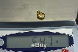 #480 Alaskan BC Natural Gold Nugget 5.47 Grams Genuine