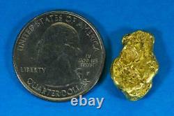 #481 Alaskan BC Natural Gold Nugget 6.45 Grams Genuine