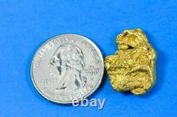 #482 Alaskan BC Natural Gold Nugget 9.88 Grams Genuine