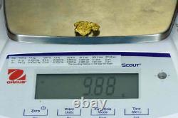 #482 Alaskan BC Natural Gold Nugget 9.88 Grams Genuine