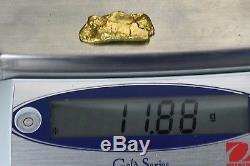 #487 Alaskan BC Natural Gold Nugget 11.88 Grams Genuine