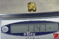 #489 Alaskan BC Natural Gold Nugget 11.47 Grams Genuine