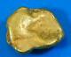 #490 Alaskan Bc Natural Gold Nugget 14.20 Grams Genuine