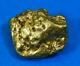 #492 Alaskan Bc Natural Gold Nugget 6.99 Grams Genuine